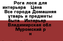 Рога лося для интерьера › Цена ­ 3 300 - Все города Домашняя утварь и предметы быта » Интерьер   . Владимирская обл.,Муромский р-н